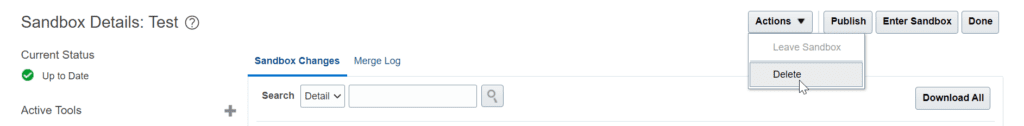 Deleting a sandbox in Oracle Fusion ERP